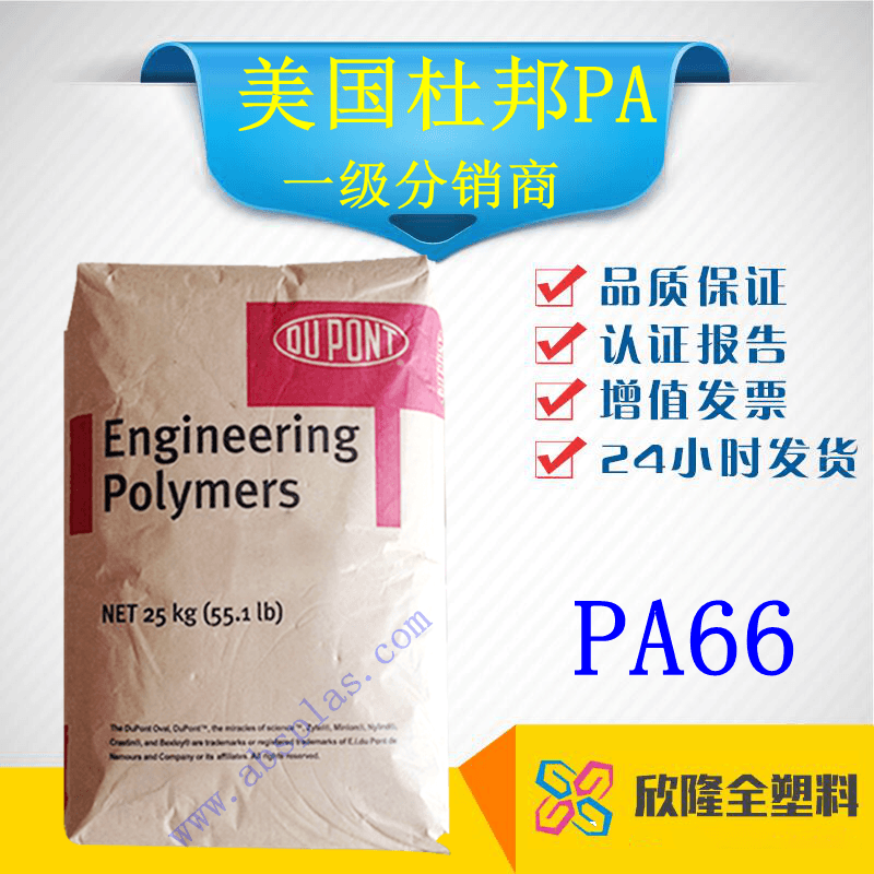 美国杜邦 PA66	3189HSL BKB010